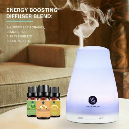 Lagunamoon Pure Essential Oils Top 6 Gift Set Lavender, Orange, Eucalyptus, Lemongrass, Peppermint, Tea Tree (10 mL each) PACKAGING MAY VARY