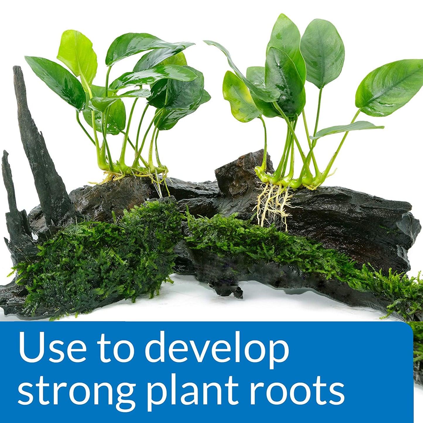 API Root Tabs Promotes Lush Growth Of Aquarium Plants Plant Care 10 Ta ...