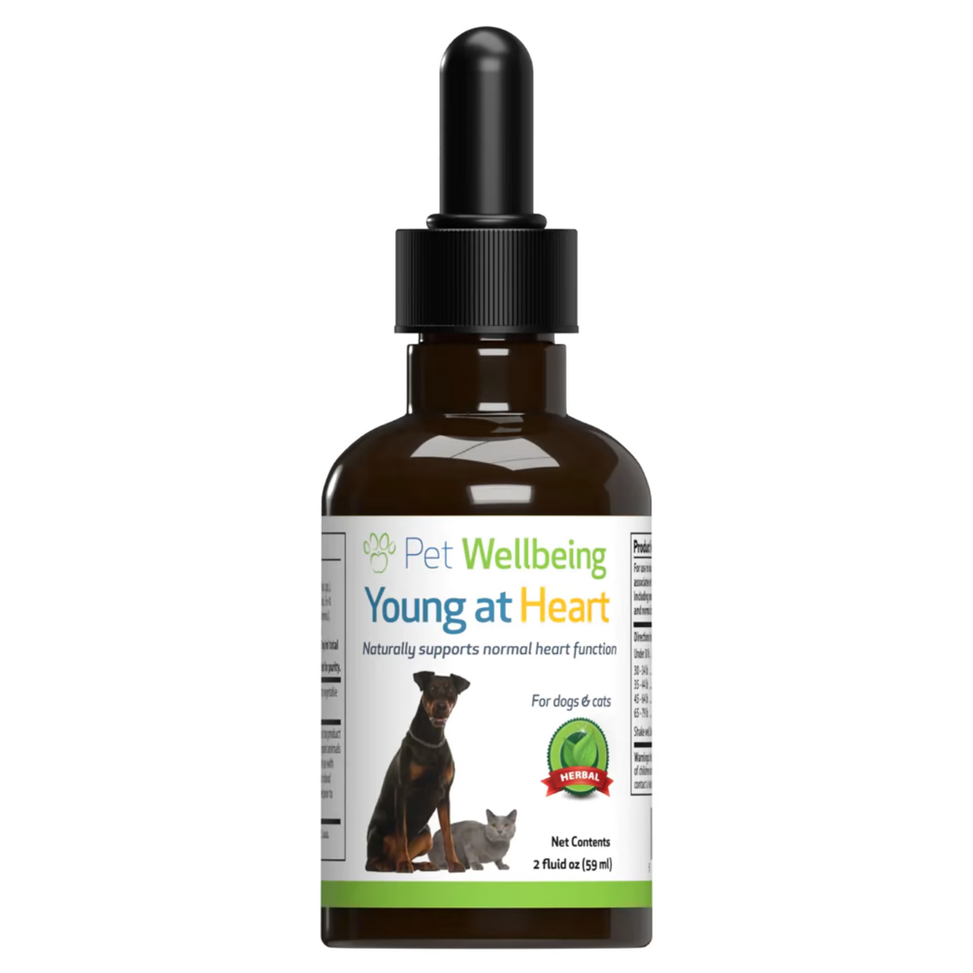 Pet Wellbeing Young at Heart, Support Normal Heart Function for Dogs and Cats, 2 fl.oz. (59mL)