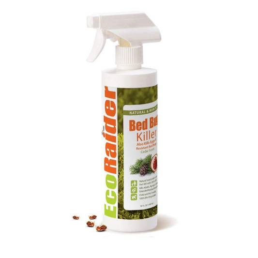 EcoRaider Bed Bug Killer (16 oz)