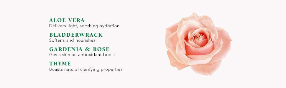 Mario Badescu Facial Spray with Aloe Herbs and Rosewater 8 fl.oz (236 ml)