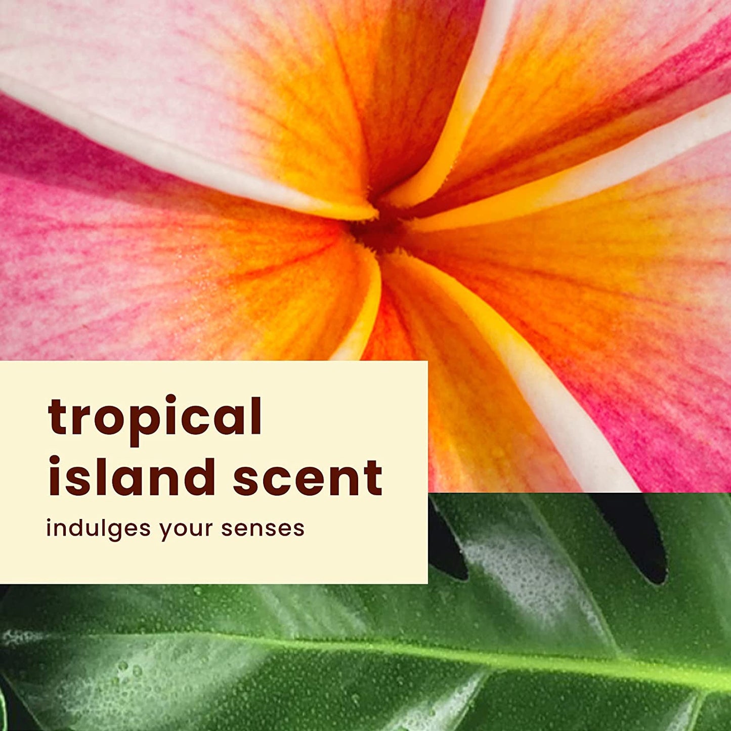 Hawaiian Tropic Sheer Touch Ultra Radiance Lotion Sunscreen SPF 30