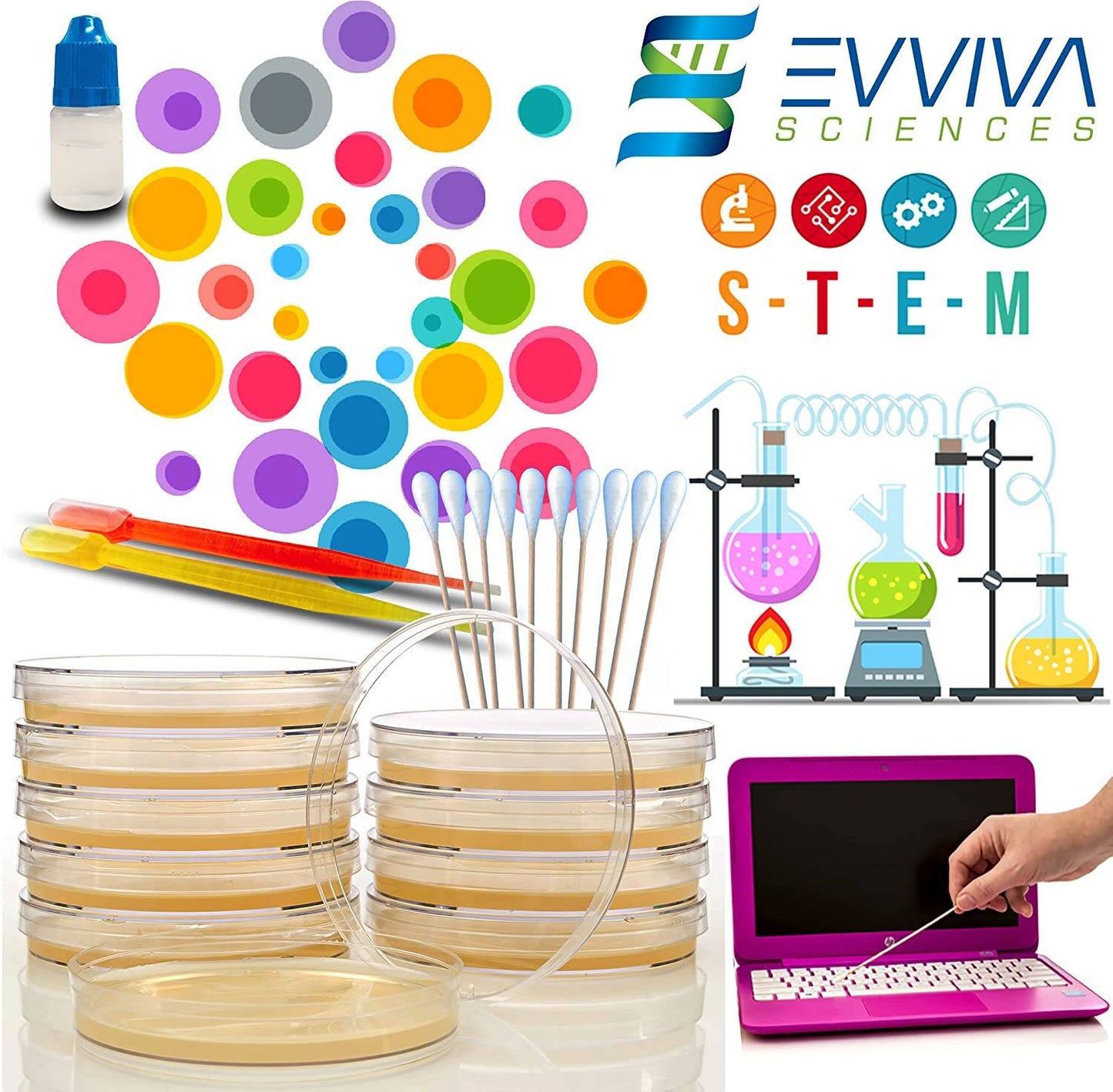 Evviva Sciences Prepoured Agar Plates Science Project Kit, Have Fun Learning Microbiology Now