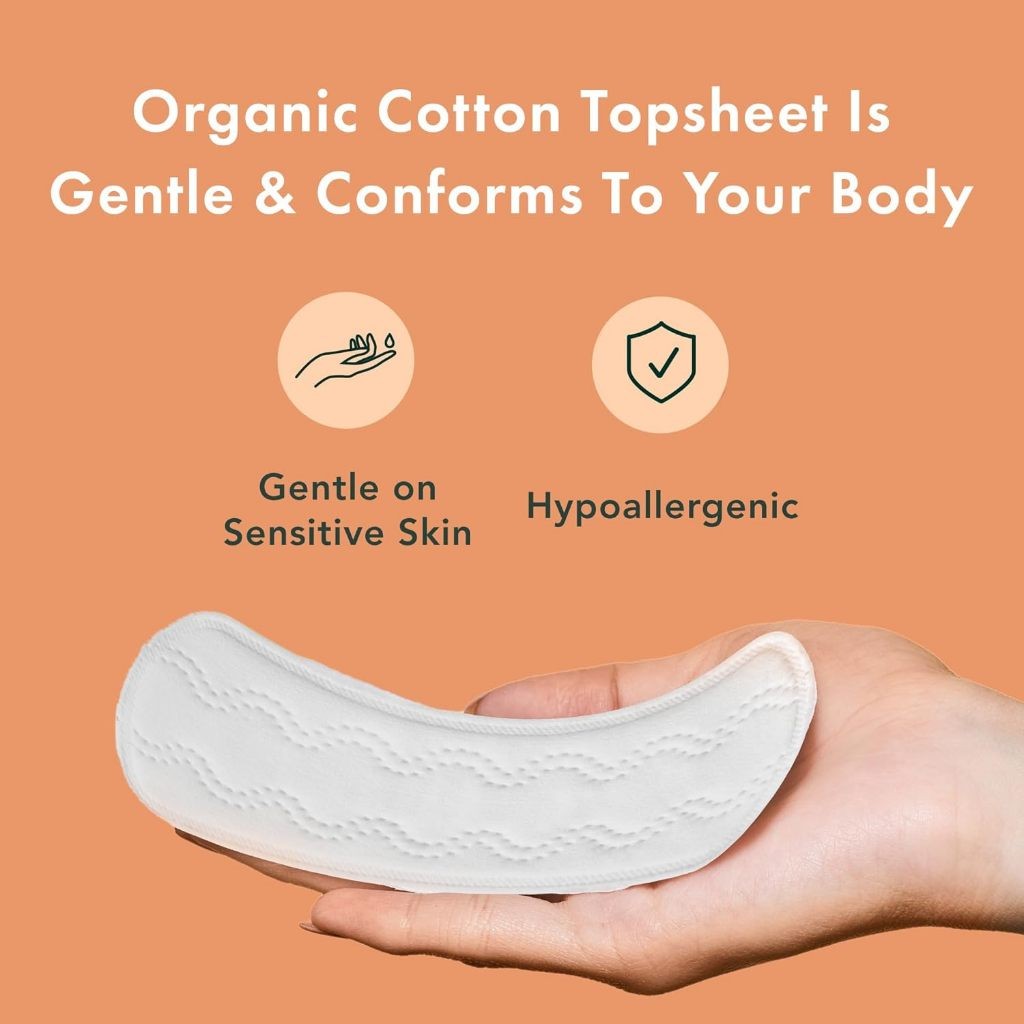 Rael Organic Cotton Cover Panty Liners Regular 44 Count