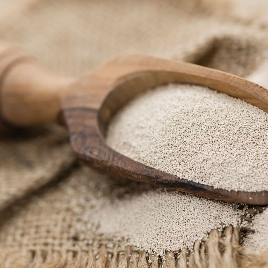 EXPIRY 05/2025 Antimo Caputo Lievito Active Dry Yeast 3.5 Ounce Can - Made in Italy - Perfect with 00 Flour