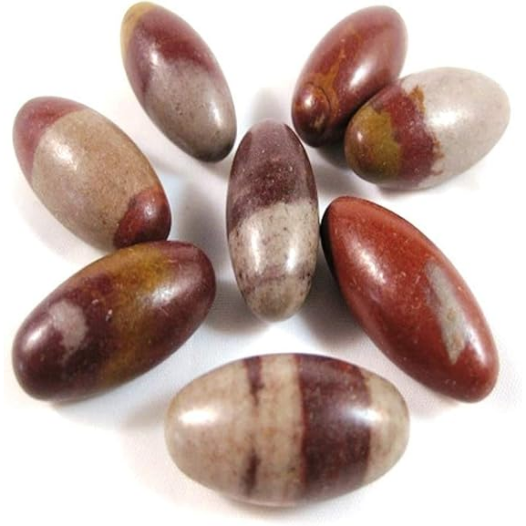 11 pc 1 Inch Narmada River Shiva Lingam Stone Set Natural Smooth Finish With Storage Pouch