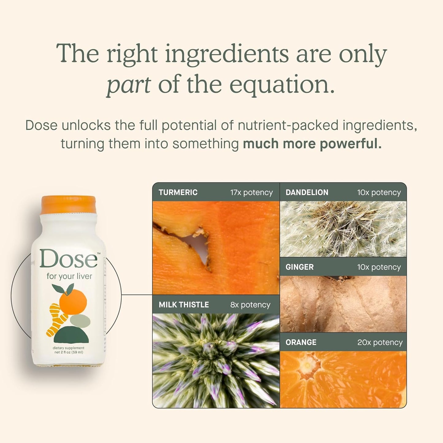 Dose for your Liver made with Organic Herbs Dietary Supplement, 472 ml / 16 fl oz