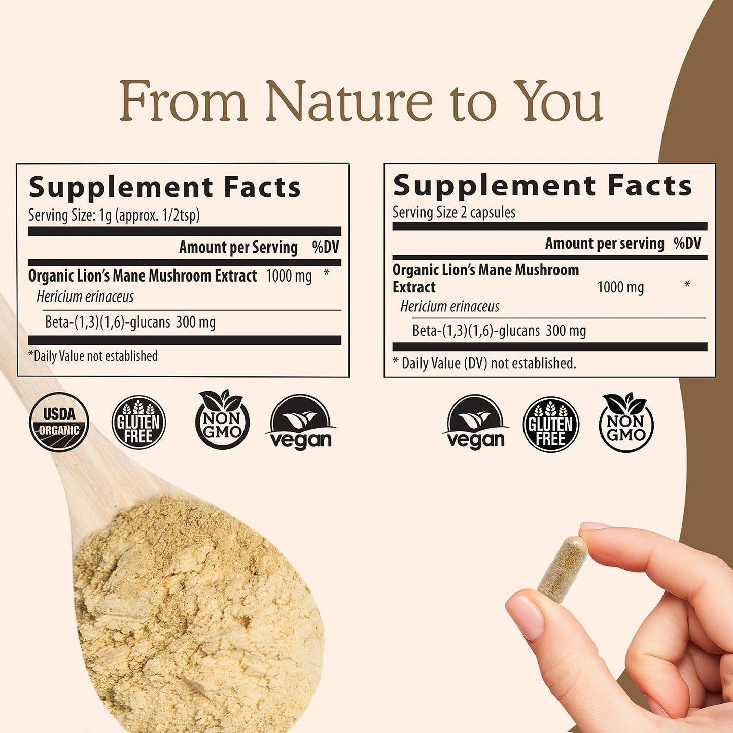 Real Mushroom Lion's Mane Cognition Mushroom Extract Powder (120 Capsules)