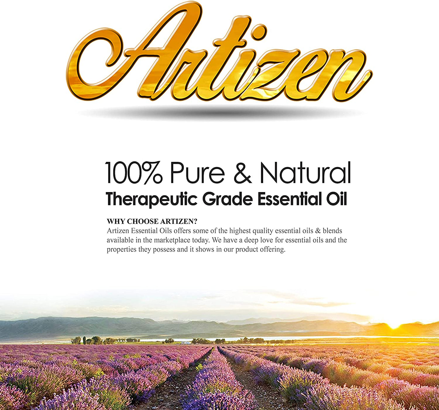 Artizen 100% Pure and Natural Oil 30ml (SAGE)