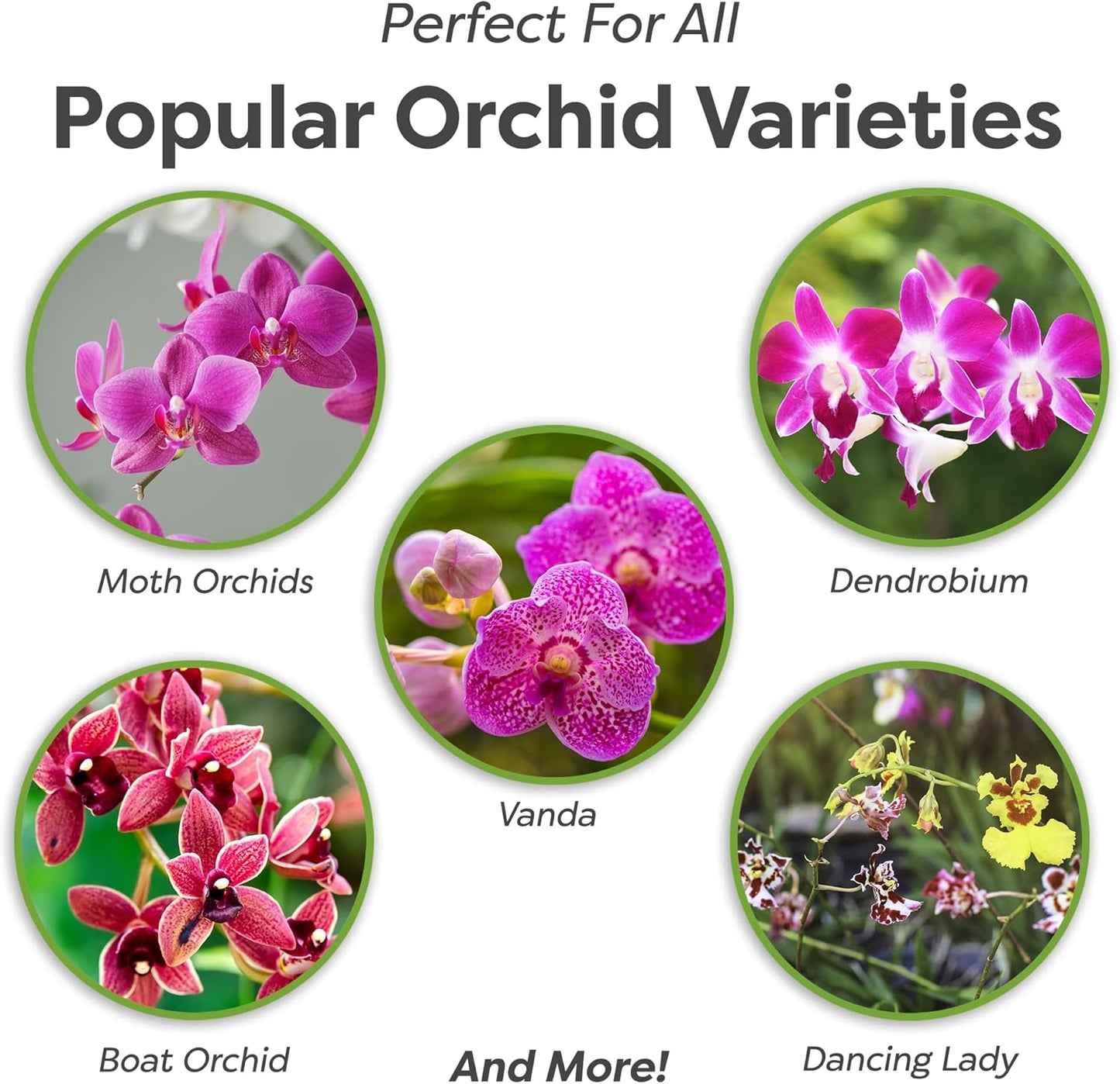 Perfect Plants Organic Orchid Potting Mix, 8 Dry Quarts Net Volume