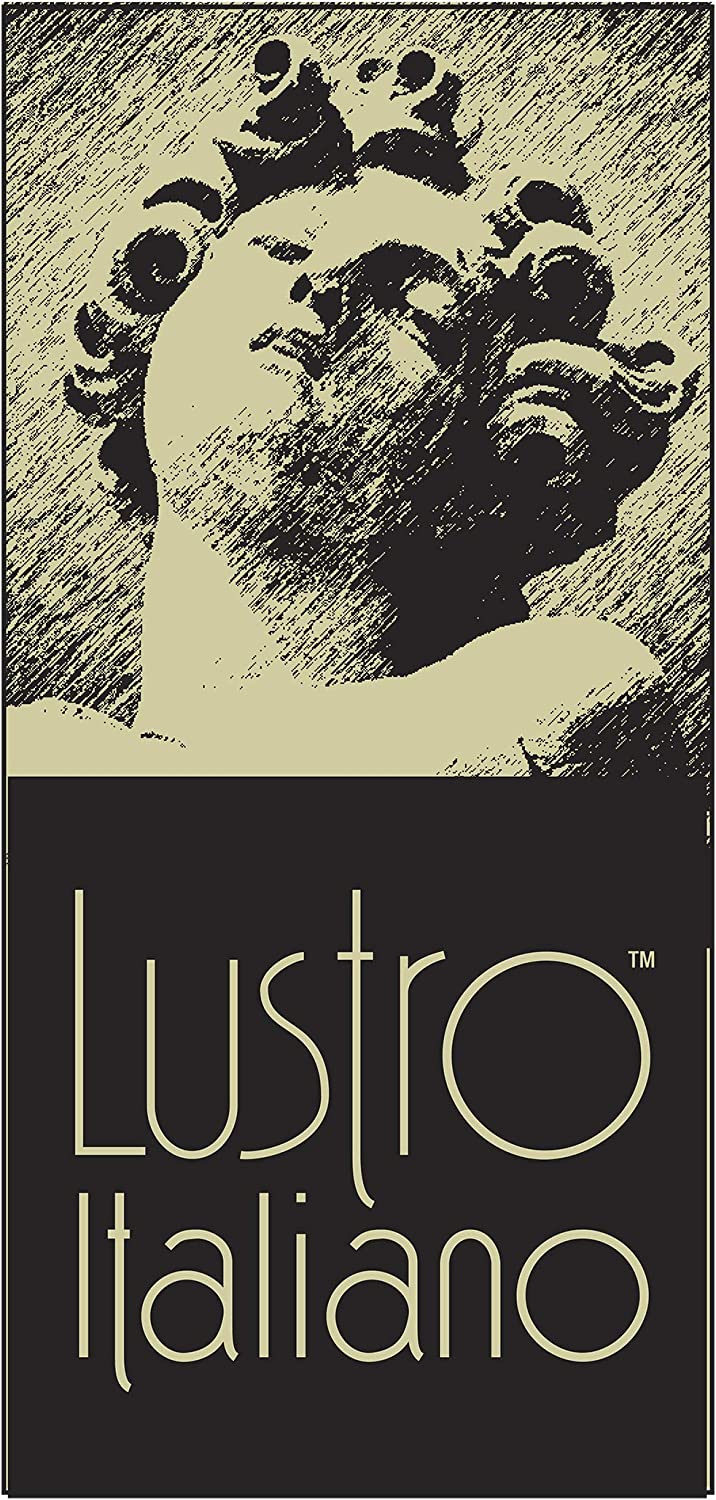 Lustro Italiano Indoor And Outdoor Weather Resistant Stone Sealer 8.5 Fl Oz / 250ml