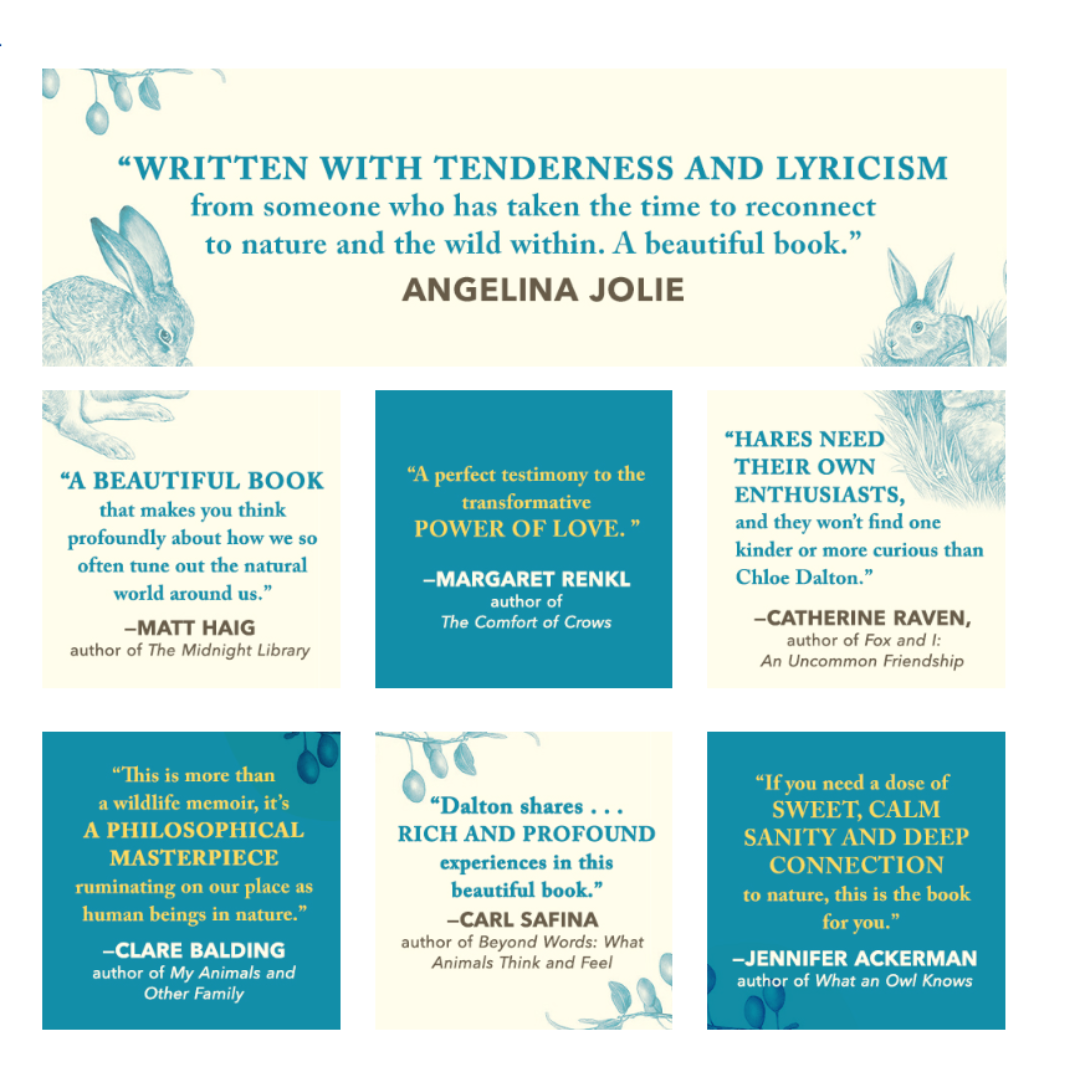 Pantheon Raising Hair Chloe Dalton A Memoir Hard Cover Book