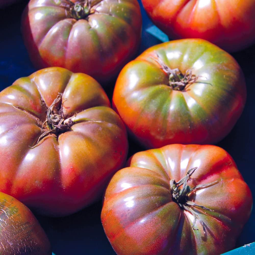 Seedz Organic Cherokee Purple Tomato Seeds (Approx. 100 Seeds)