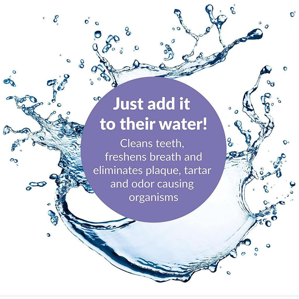 Dental Fresh Advanced Plaque and Tartar Water Additive 8 fl. oz. 237 ml