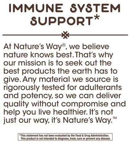 Nature's Way Zinc Lozenges Echinacea & Vitamin C (60 Lozenges - Wild Berry Flavored)