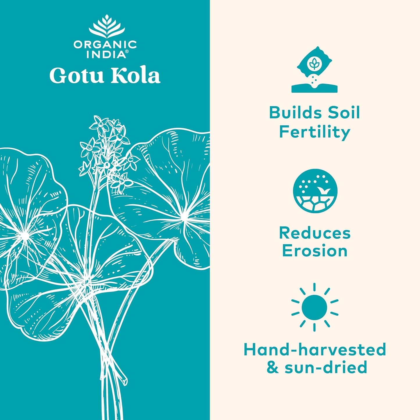 Organic India Gotu Kola Brain & Nervous System Support Supplement 90 Vegetarian Caps