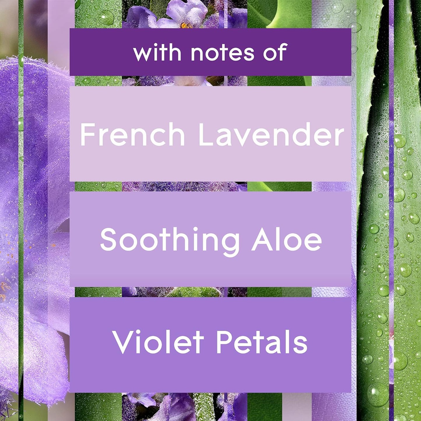 Glade Plug Ins Scented Oil Tranquil Lavender & Aloe, 1 Warner + 7 Refills 120 V