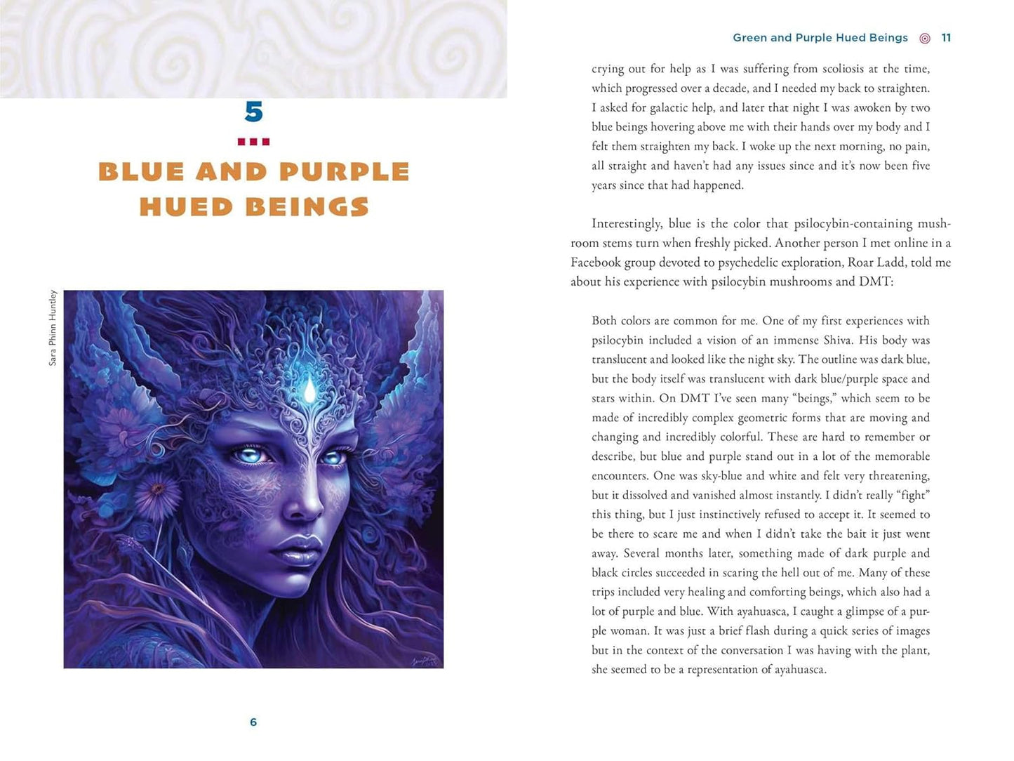 The Illustrated Field Guide to DMT Entities: Machine Elves, Tricksters, Teachers, and Other Interdimensional Beings