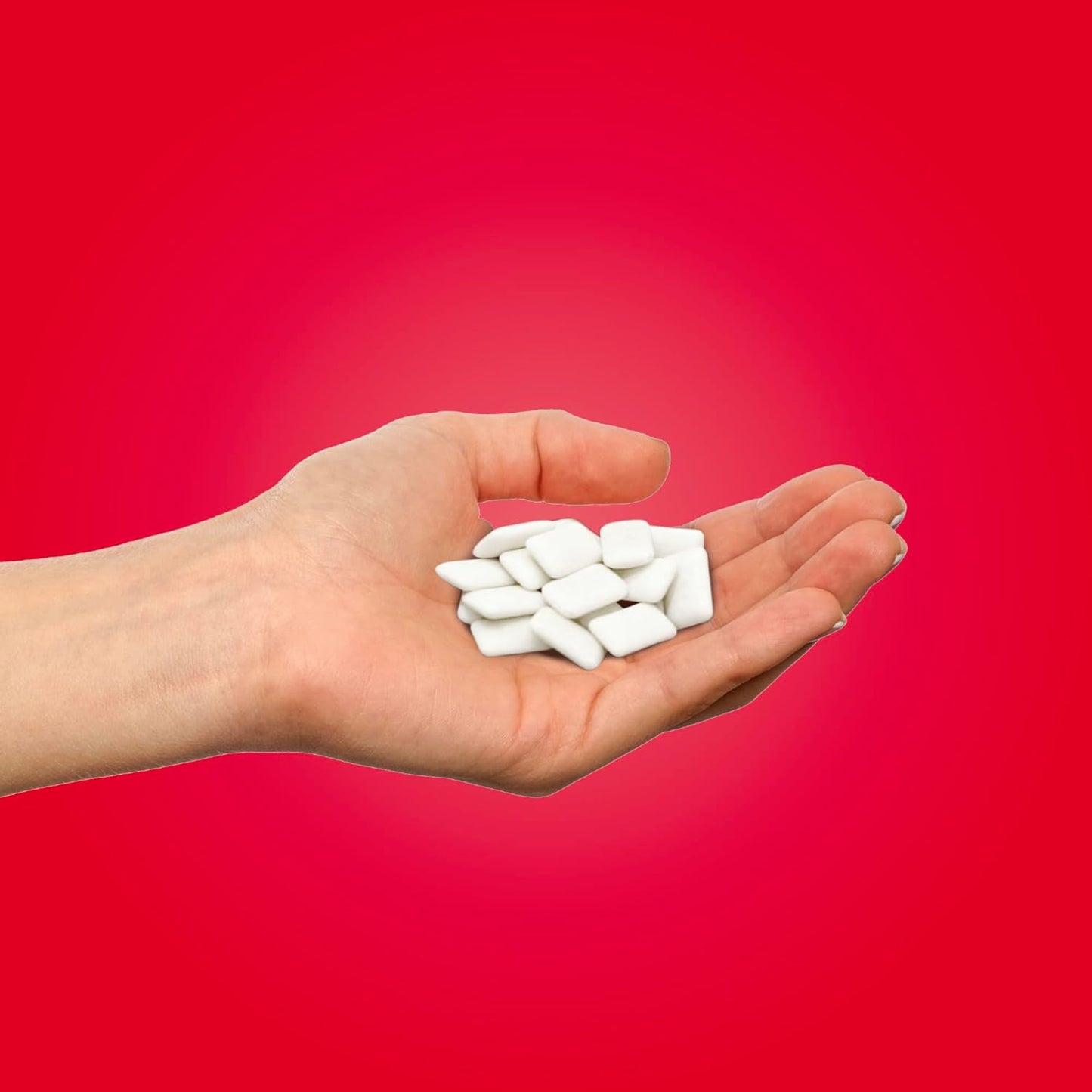 Pur Gum Aspartame Chewing Gum Cinnamon 55 Pieces