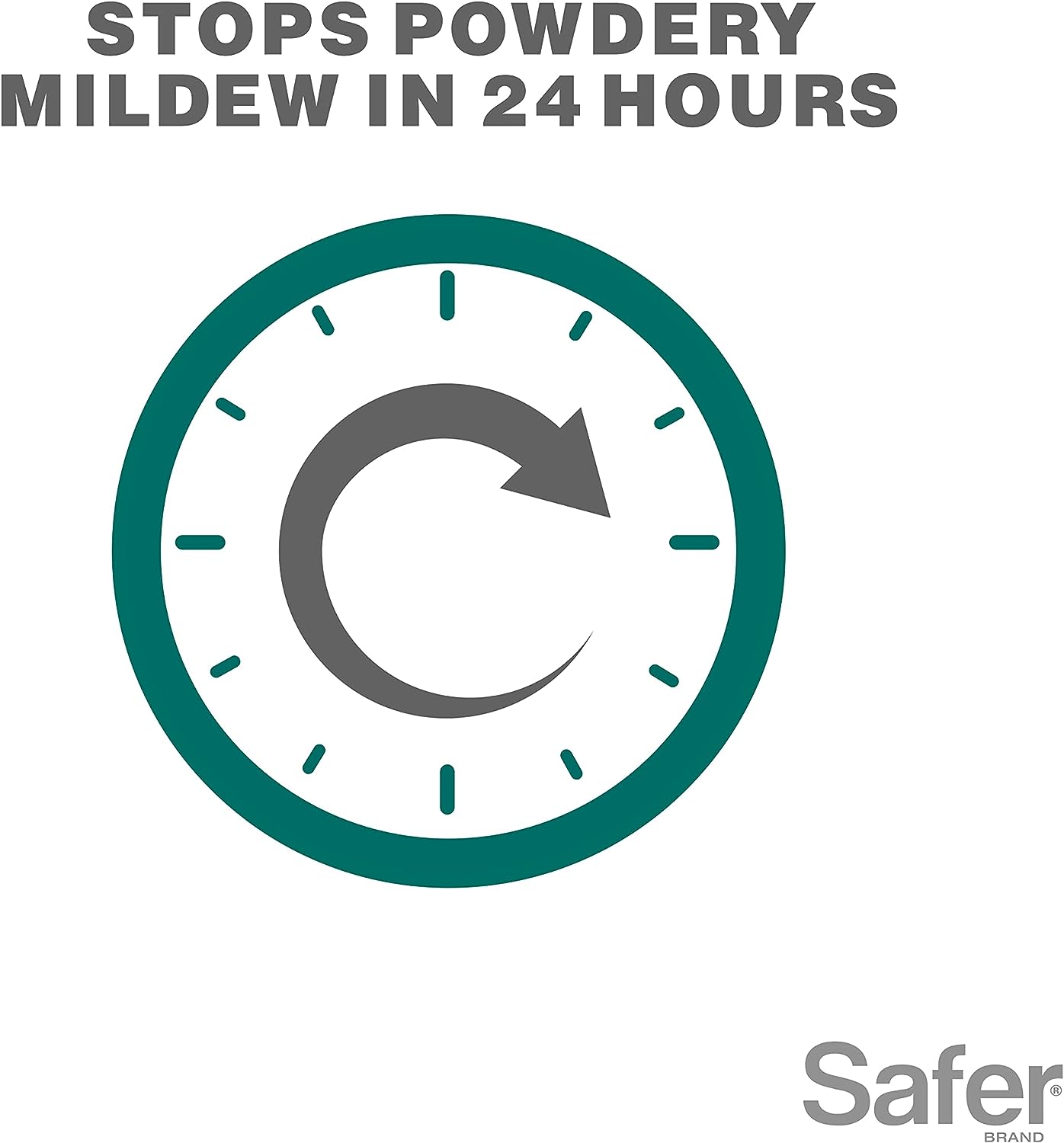 Safer Brand Neem Oil Concentrate Fungicide, Miticide, Insecticide For Organic Gardening - 16 fl oz / 473ml