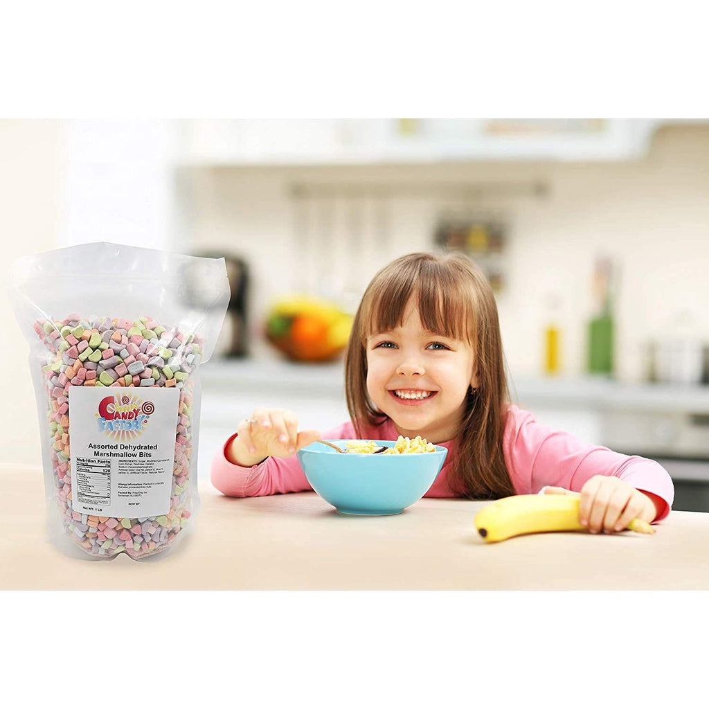 Sarah's Candy Factory Assorted Dehydrated Marshmallow Bits in Resealable Bag, 1lb