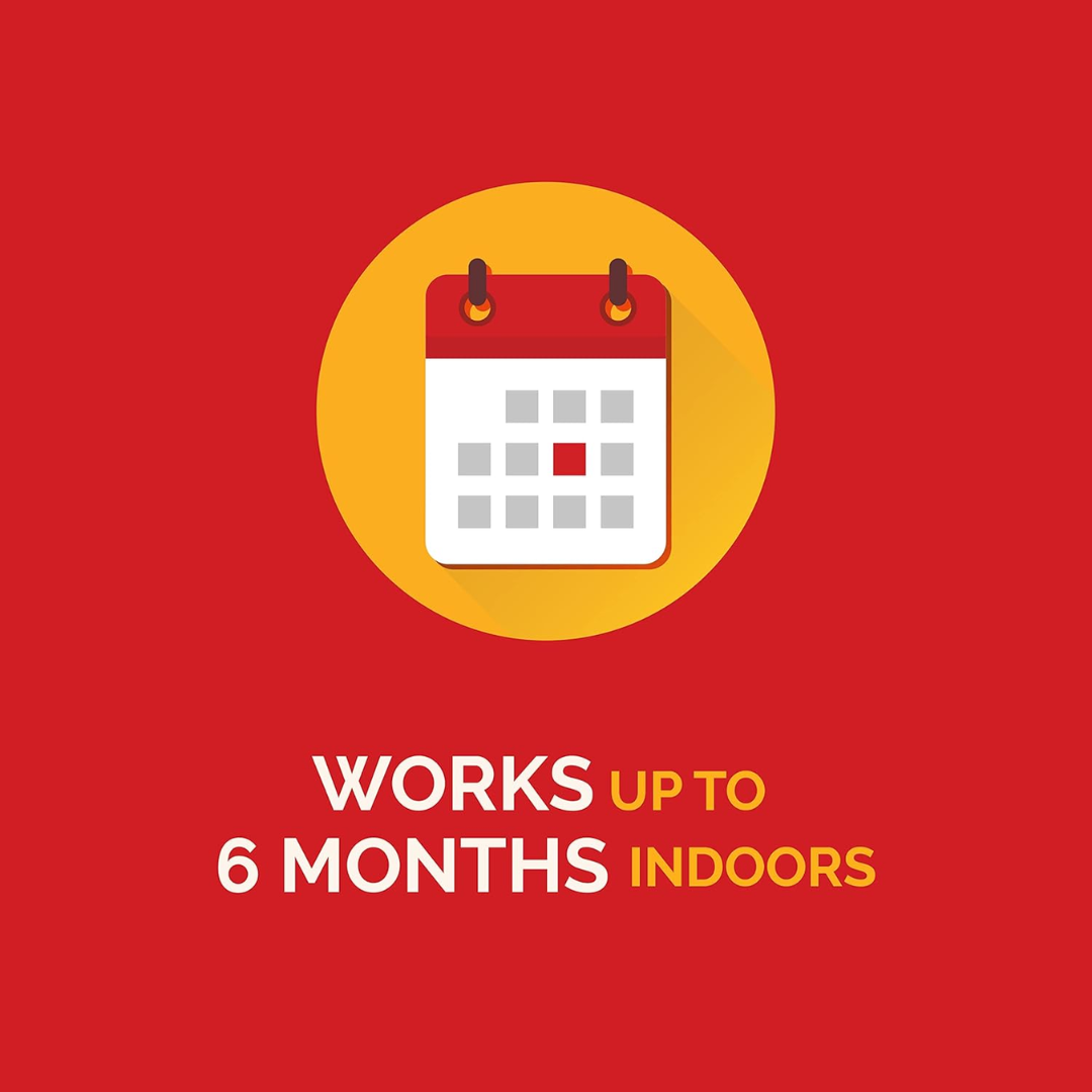 Hot Shot MaxAttrax Ant Bait, 8 Count