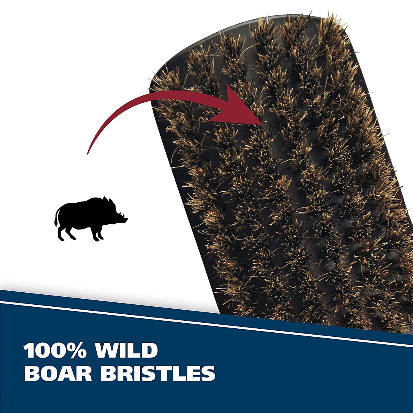 WAHL Handcrafted Handheld Beard Brush with 100% Wild Boar Bristles for Grooming & Styling