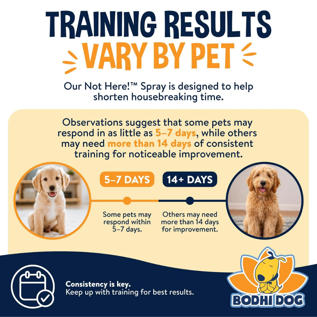 Bodhi Dog Premium Not Here! Pet Training Spray, 8 oz / 237 ml