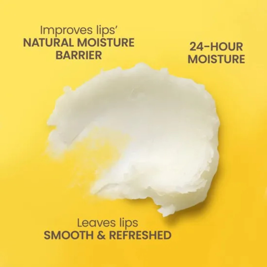 Burt's Bees Coconut & Pear Moisturizing Lip Balm, 0.15 oz / 4.25 g