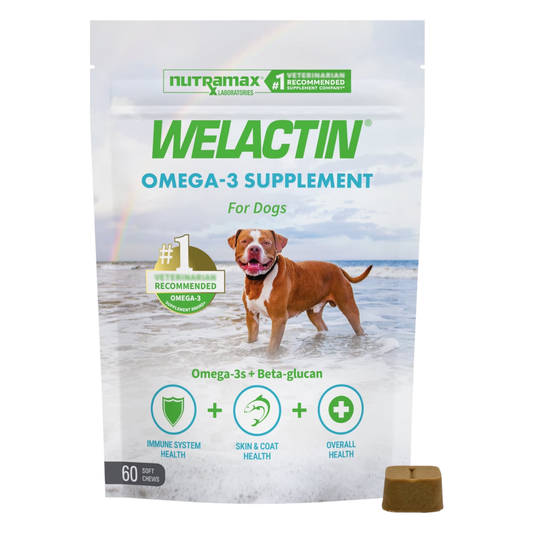 Nutramax Laboratories Welactin Omega-3 Supplement for Dogs, 60 Soft Chews