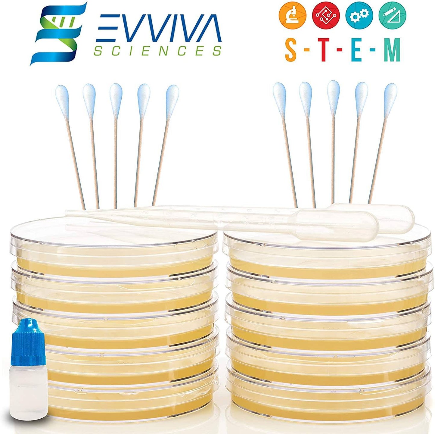 Evviva Sciences Prepoured Agar Plates Science Project Kit, Have Fun Learning Microbiology Now