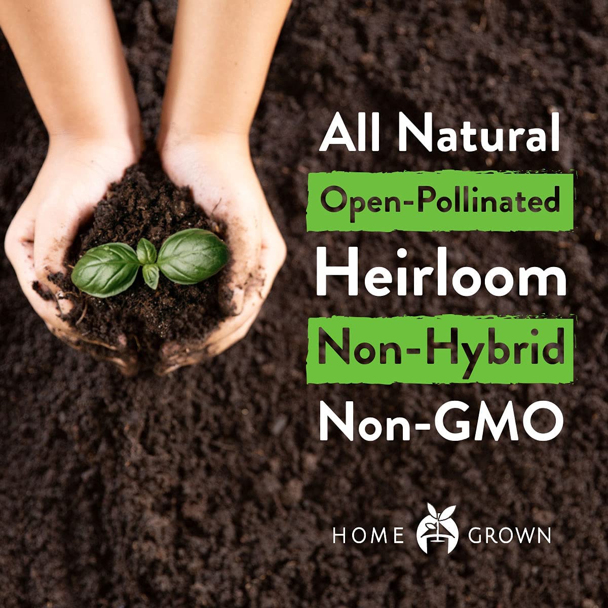 Heirloom Tomato Seeds for Planting (10pk) w/Basil Seeds