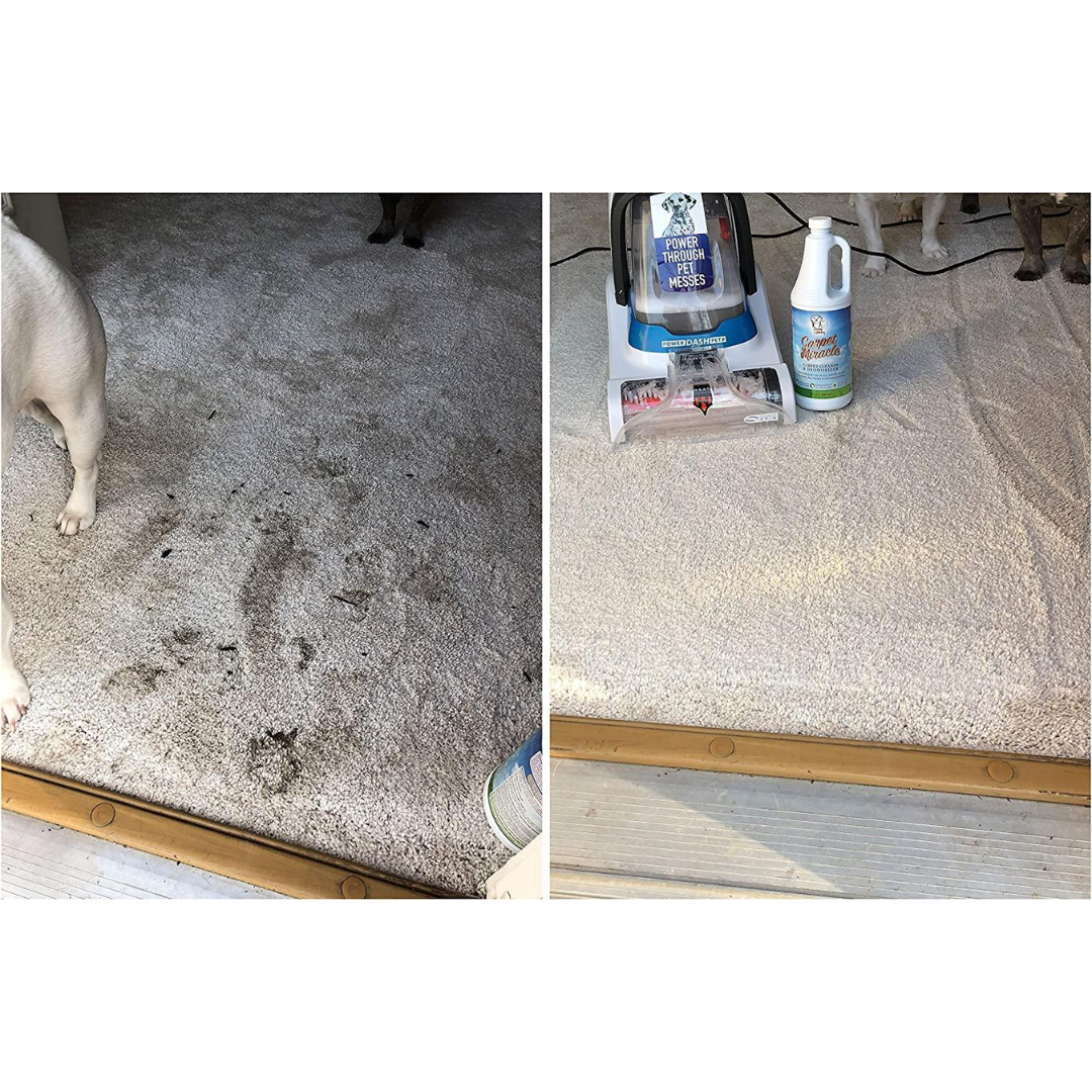 Trial Size Sunny & Honey Pet Carpet Miracle Cleaner & Deodorizer, 100 ml
