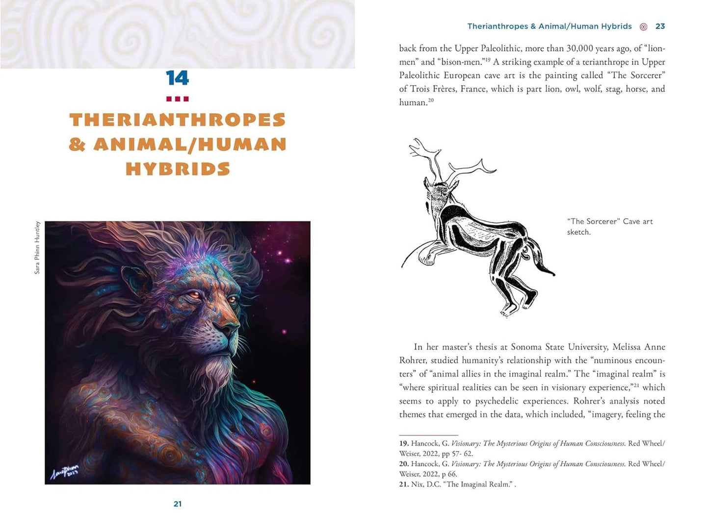 The Illustrated Field Guide to DMT Entities: Machine Elves, Tricksters, Teachers, and Other Interdimensional Beings