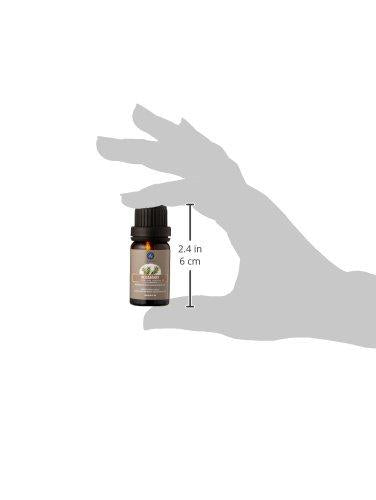 Lagunamoon 100% Pure Essential Oil 10ml (Orange)