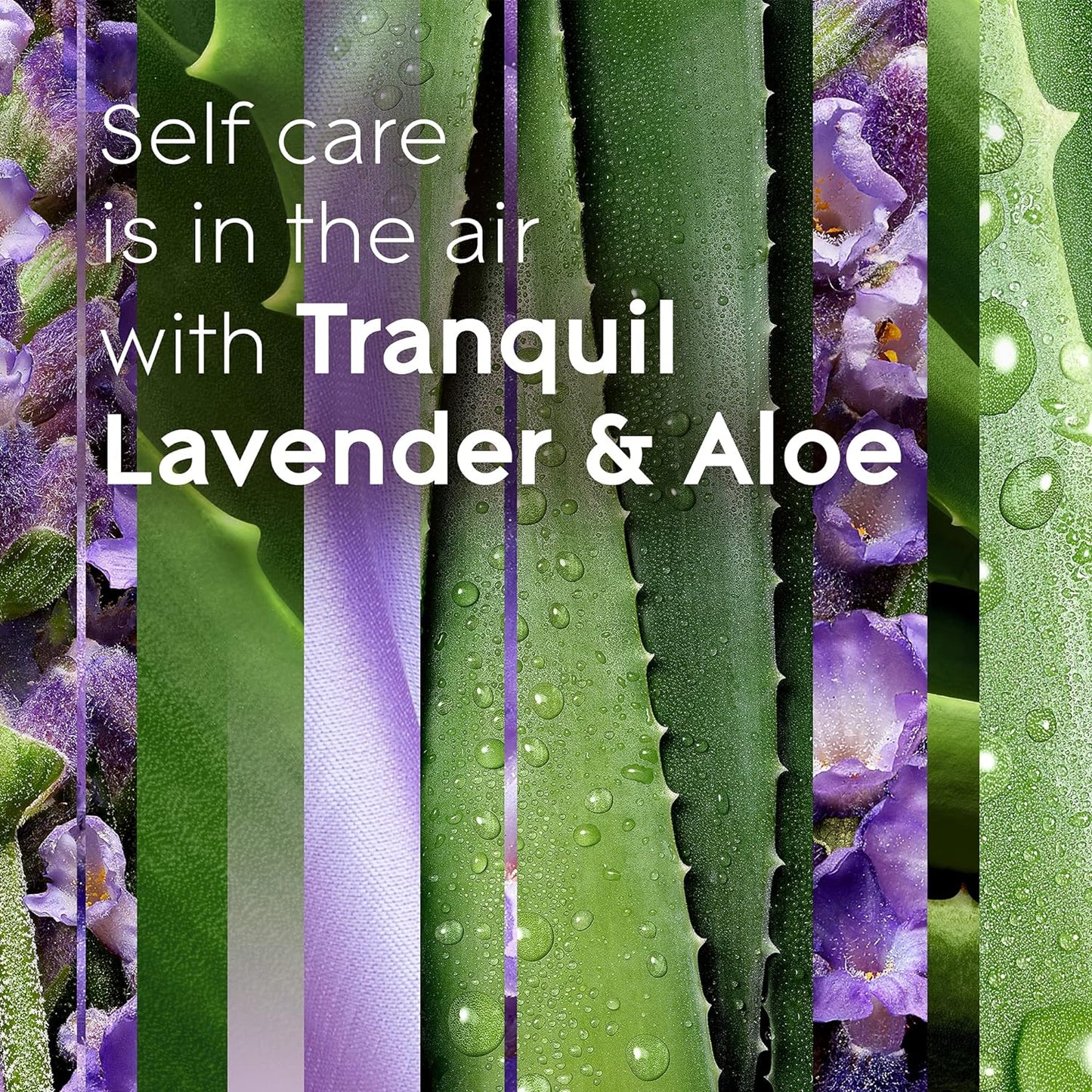 Glade Plug Ins Scented Oil Tranquil Lavender & Aloe, 1 Warner + 7 Refills 120 V