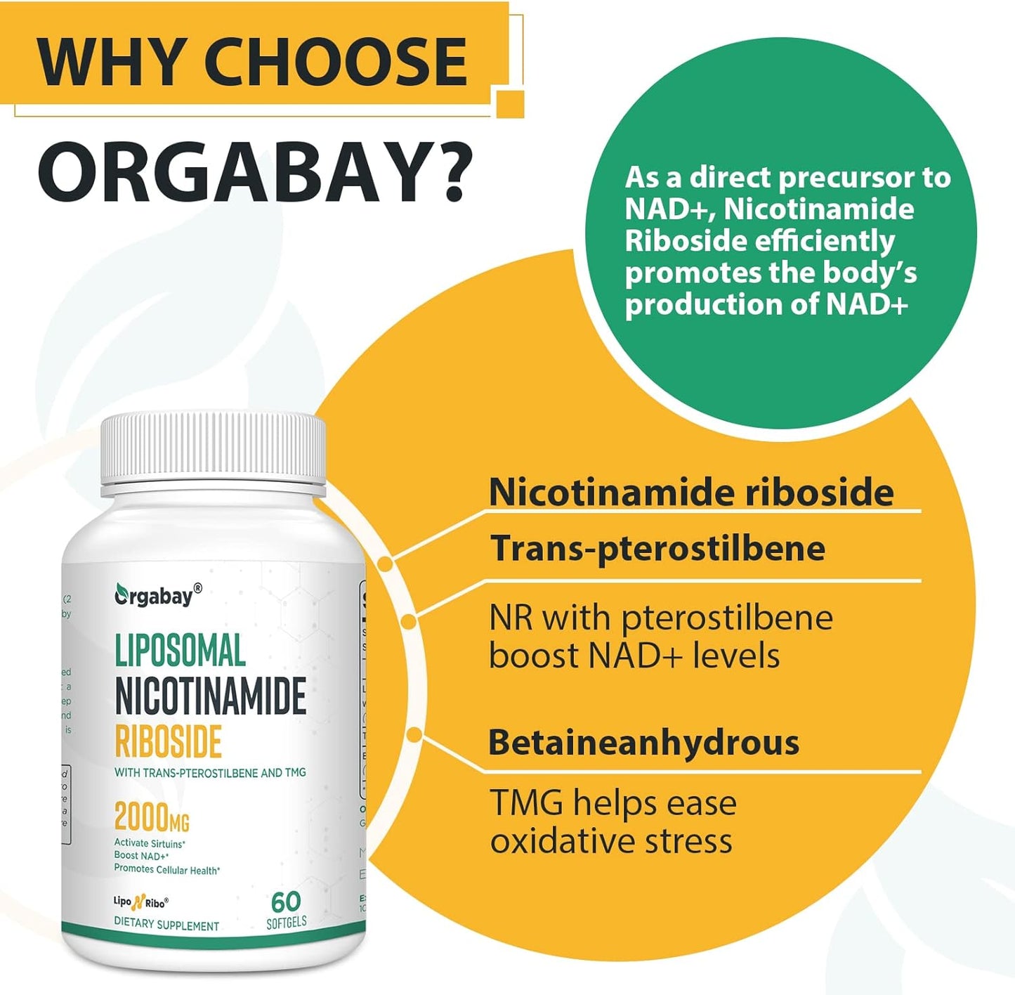 Orgabay Liposomal Nicotinamide Riboside 2000mg Supplement 60 Softgels