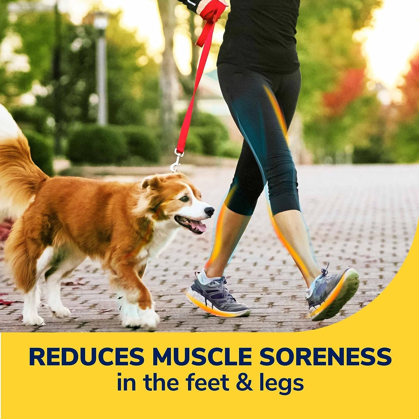 Dr. Scholl's Walk Longer Comfort Insoles, Women's Size: 6-10 (1 Pair)