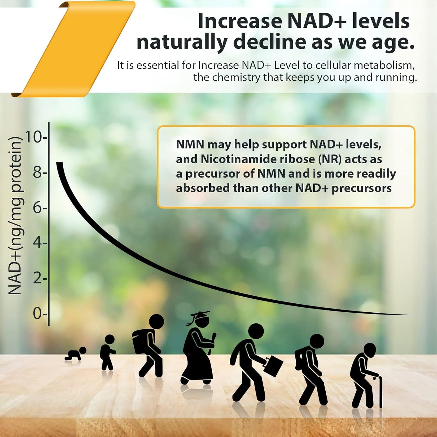 Orgabay Liposomal Nicotinamide Riboside 2000mg Supplement 60 Softgels