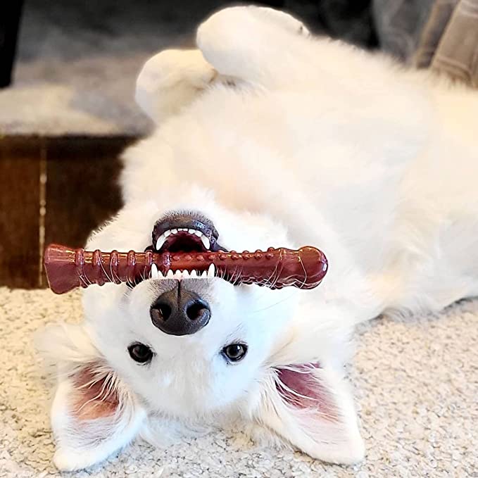 Nylabone of Beef Jerky Flavor Frenzy Power Chew Bones Souper for Dogs Over 50 Pounds (NBJ105P) 1 Count