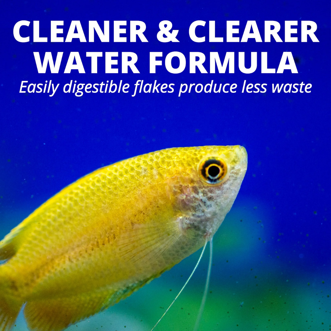 TetraMin 77101 Tropical Flakes for Cleaner & Clearer Water Formula, 1 oz / 28 g