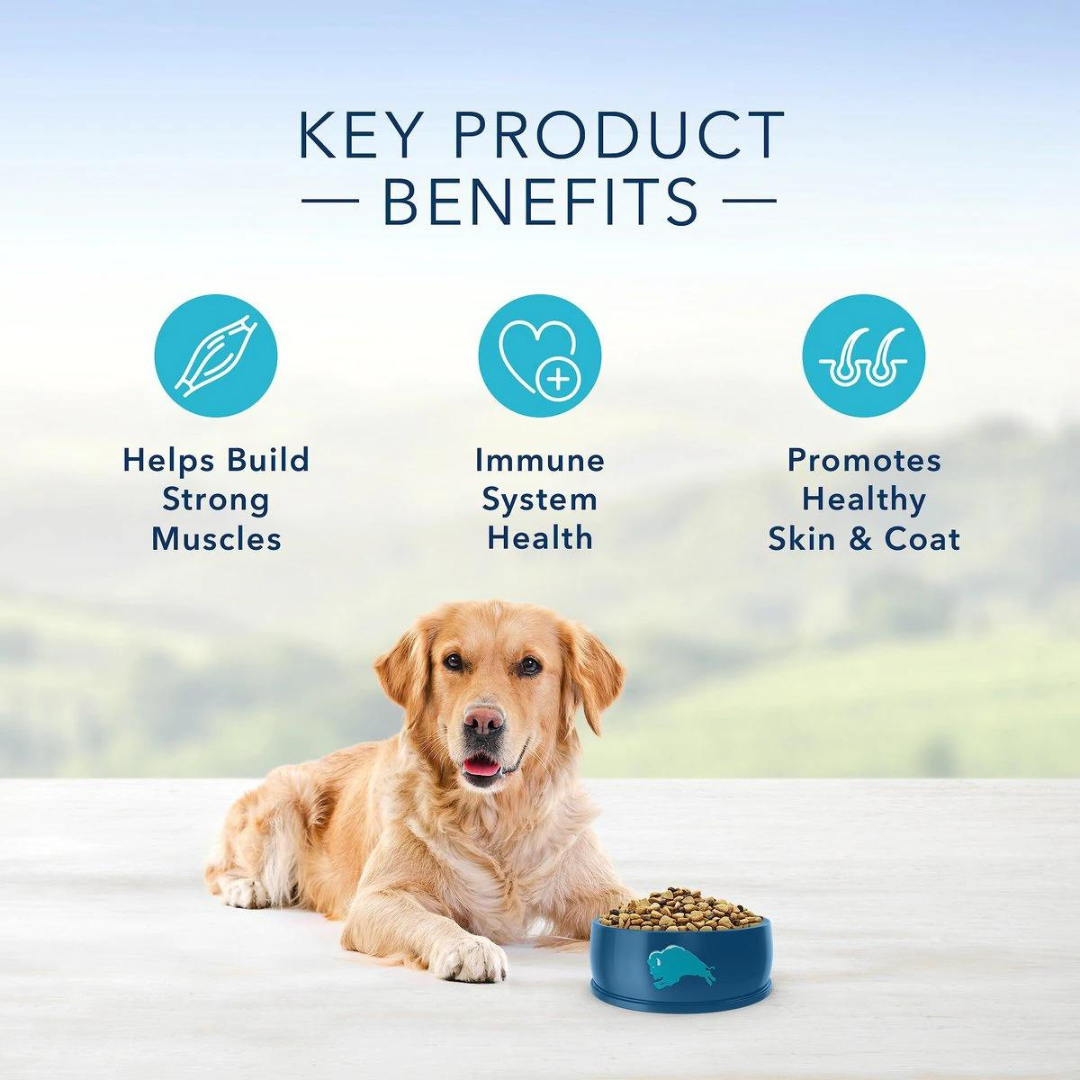 Trial Size The Blue Buffalo Life Protection Formula Small Breed Dog Chicken & Brown Rice Recipe -1 LB