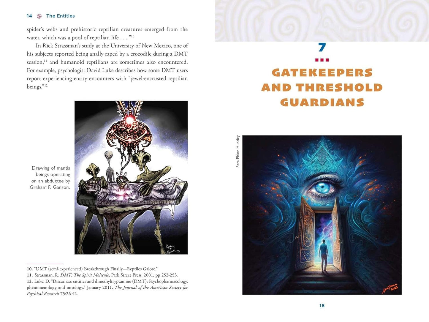 The Illustrated Field Guide to DMT Entities: Machine Elves, Tricksters, Teachers, and Other Interdimensional Beings