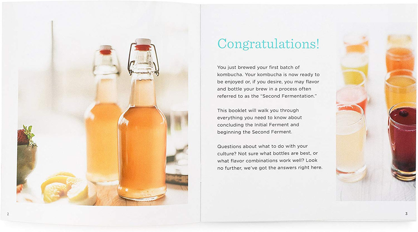 The Kombucha Shop Kombucha Starter Kit, 1 Gallon Brewing Kit