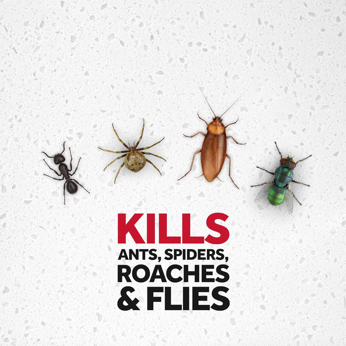 Breeze Insect SC Johnson Raid Multi Insect Killer, Orange Breeze Scent, 425 g / 15 o ...
