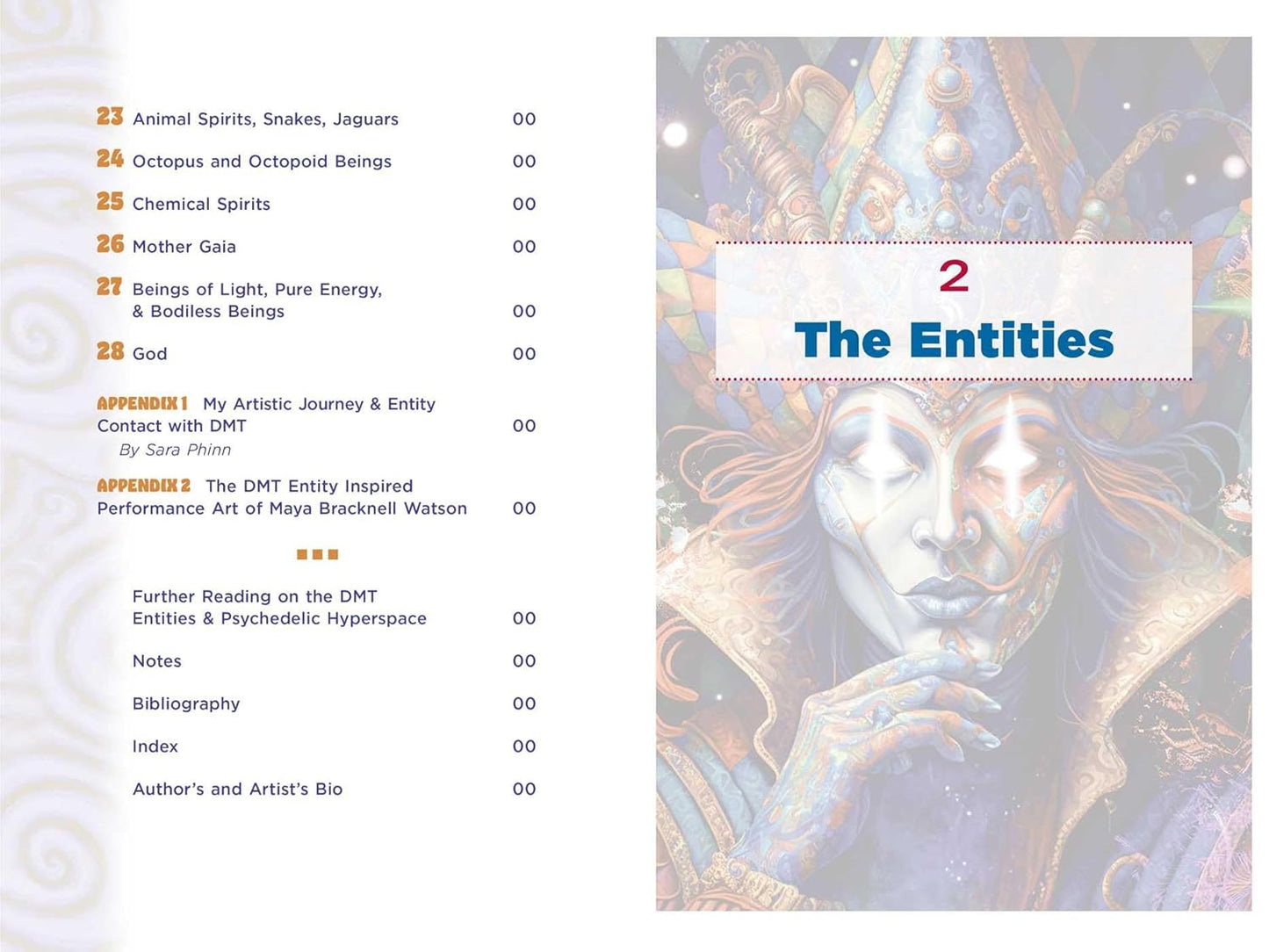 The Illustrated Field Guide to DMT Entities: Machine Elves, Tricksters, Teachers, and Other Interdimensional Beings