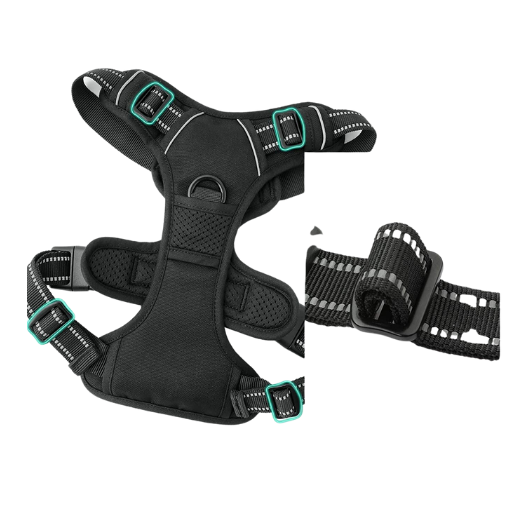 rabbitgoo Dog Harness with 2 Leash Clips, Adjustable Soft Padded Vest, Easy Control Handle, Black, S