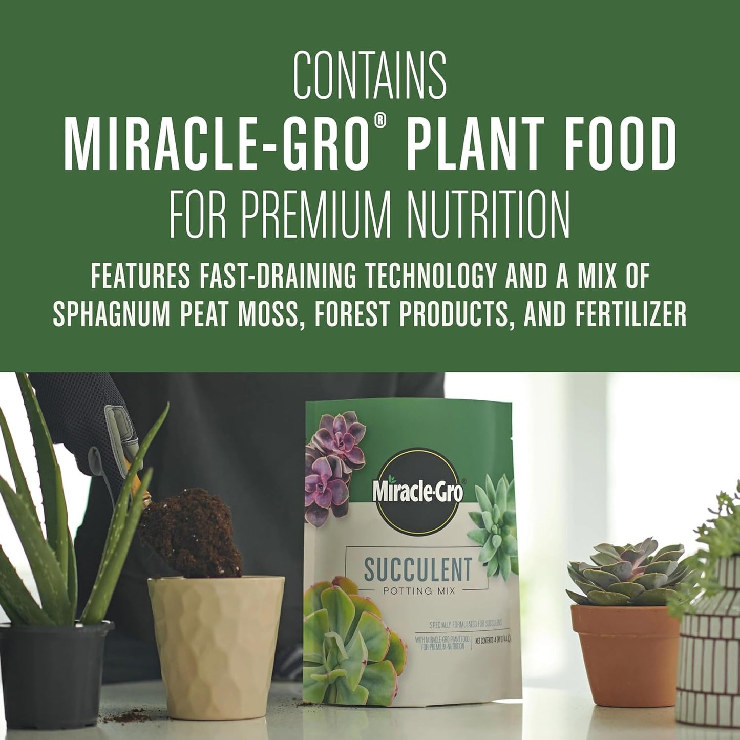 Miracle-Gro Succulent Potting Mix 4 Dry Qt / 4.4L