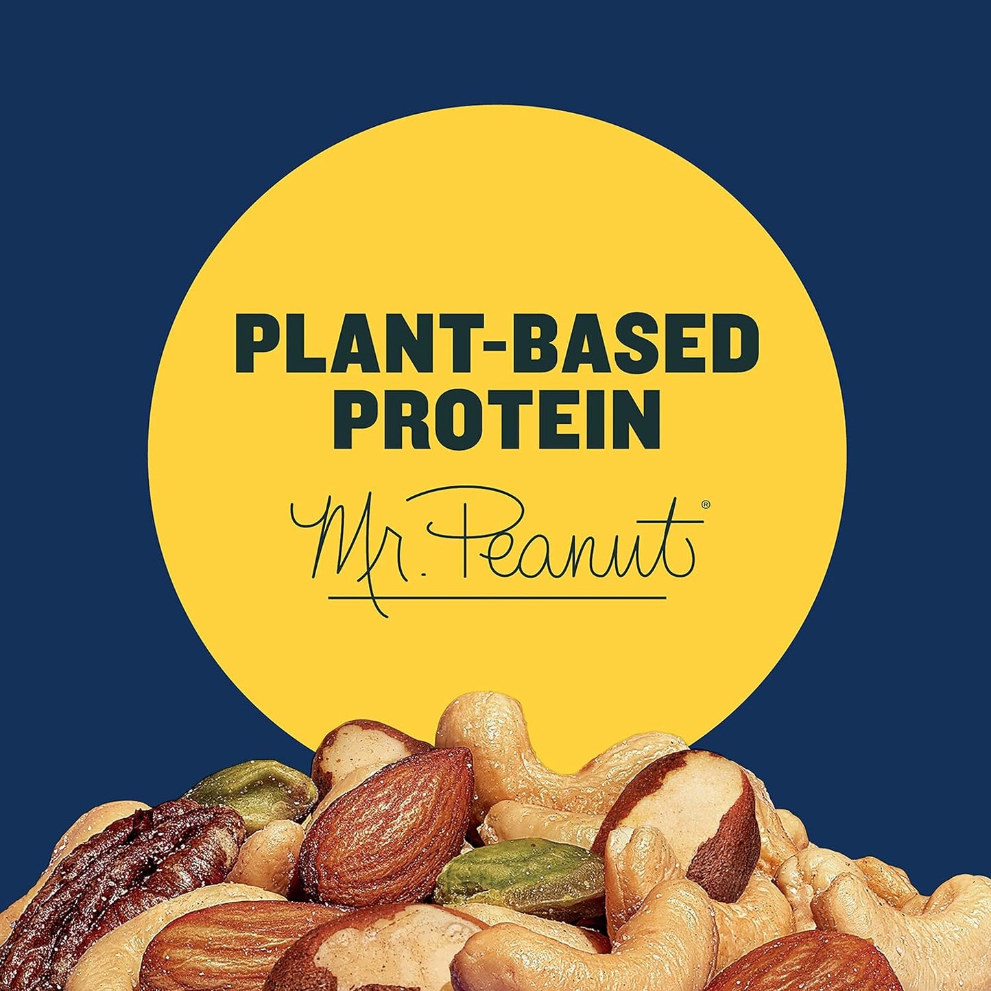 Planters Deluxe Lightly Salted Mixed Nuts Cashew, Almonds, Brazil Nuts, Pistachios, Pecans,15 oz (425g)