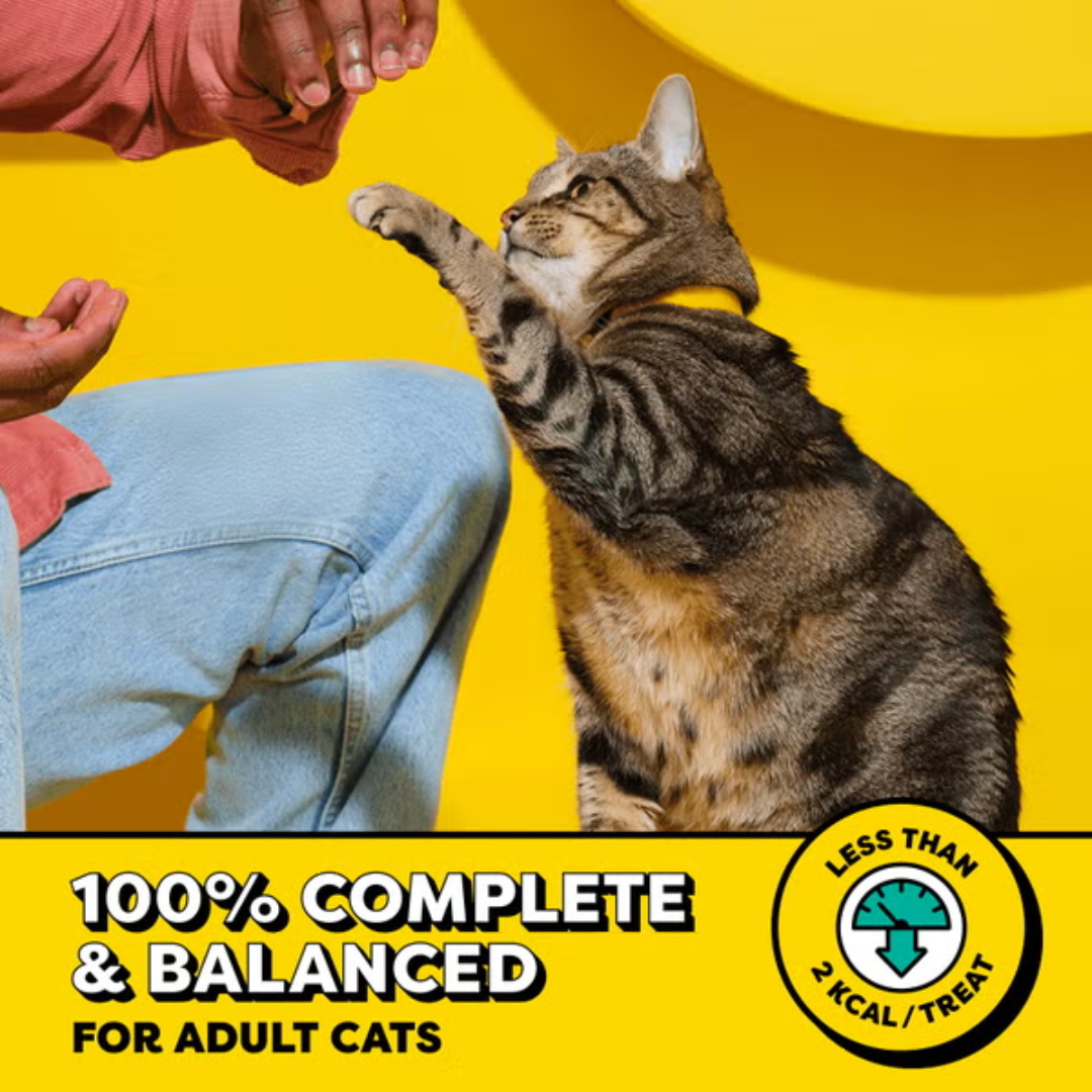 Temptations Blissful Catnip Flavor Treats for Cats, 16 oz